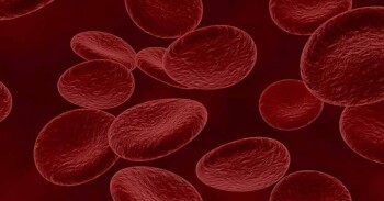 Lo que debes saber sobre el cáncer de sangre